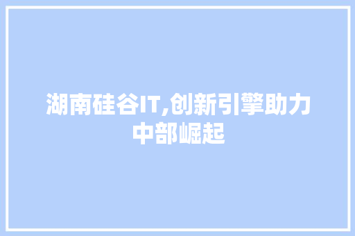 湖南硅谷IT,创新引擎助力中部崛起 必应SEO