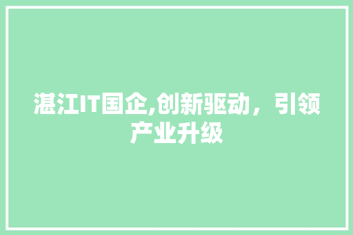 湛江IT国企,创新驱动，引领产业升级 神马SEO