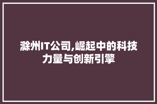 滁州IT公司,崛起中的科技力量与创新引擎 GoogleSEO