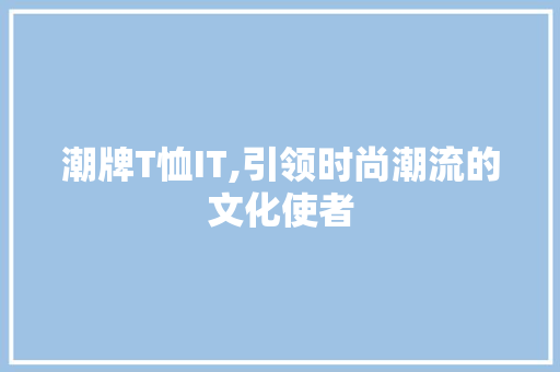 潮牌T恤IT,引领时尚潮流的文化使者