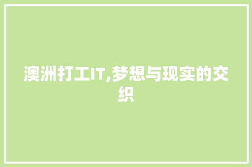 澳洲打工IT,梦想与现实的交织 神马SEO