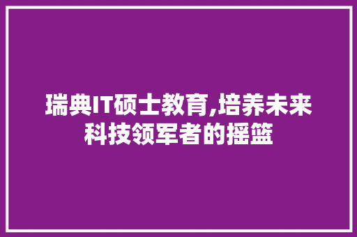 瑞典IT硕士教育,培养未来科技领军者的摇篮