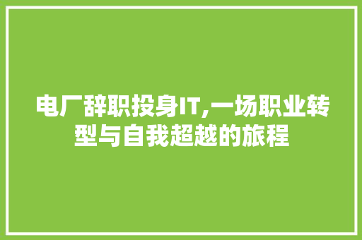 电厂辞职投身IT,一场职业转型与自我超越的旅程
