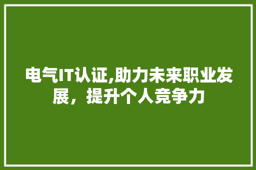 电气IT认证,助力未来职业发展，提升个人竞争力