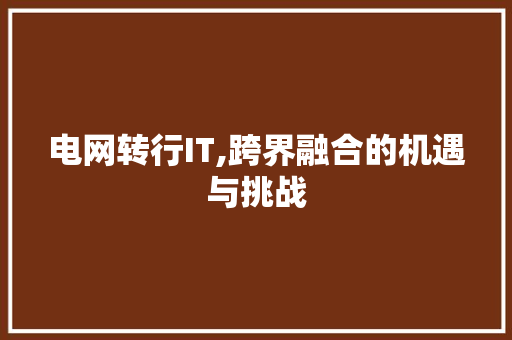 电网转行IT,跨界融合的机遇与挑战