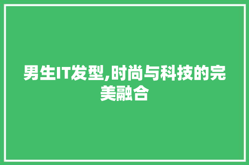 男生IT发型,时尚与科技的完美融合