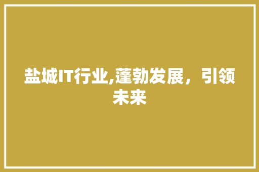 盐城IT行业,蓬勃发展，引领未来 GoogleSEO