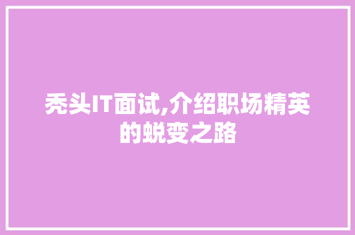 秃头IT面试,介绍职场精英的蜕变之路