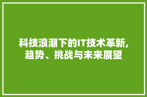 科技浪潮下的IT技术革新,趋势、挑战与未来展望