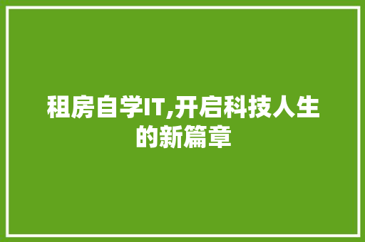 租房自学IT,开启科技人生的新篇章