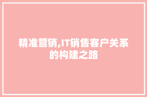 精准营销,IT销售客户关系的构建之路