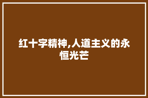 红十字精神,人道主义的永恒光芒