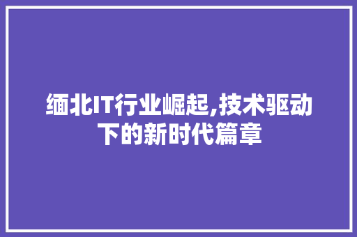 缅北IT行业崛起,技术驱动下的新时代篇章