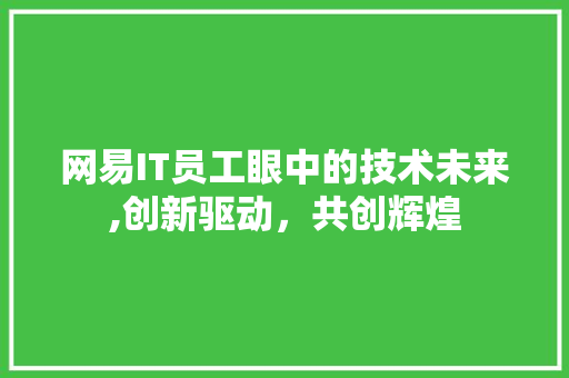 网易IT员工眼中的技术未来,创新驱动，共创辉煌