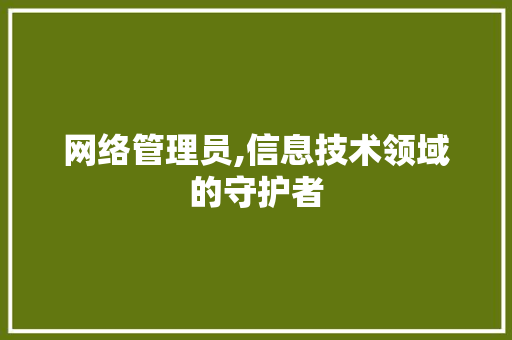 网络管理员,信息技术领域的守护者