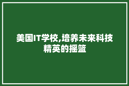 美国IT学校,培养未来科技精英的摇篮
