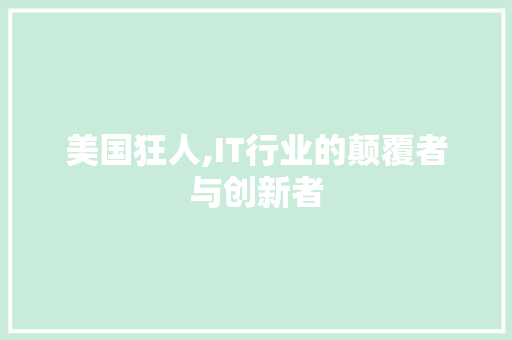 美国狂人,IT行业的颠覆者与创新者 神马SEO