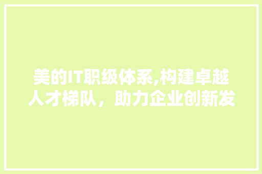 美的IT职级体系,构建卓越人才梯队，助力企业创新发展