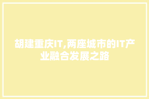 胡建重庆IT,两座城市的IT产业融合发展之路