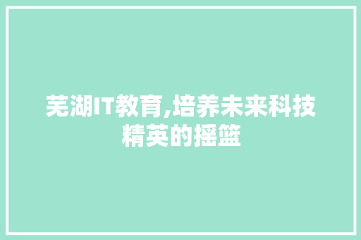 芜湖IT教育,培养未来科技精英的摇篮
