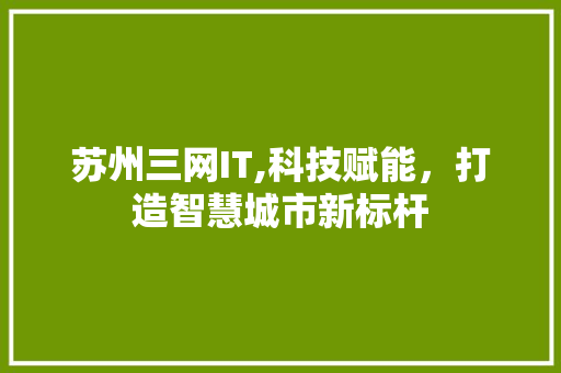 苏州三网IT,科技赋能，打造智慧城市新标杆