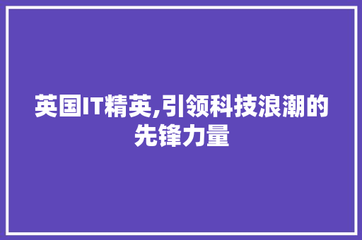 英国IT精英,引领科技浪潮的先锋力量