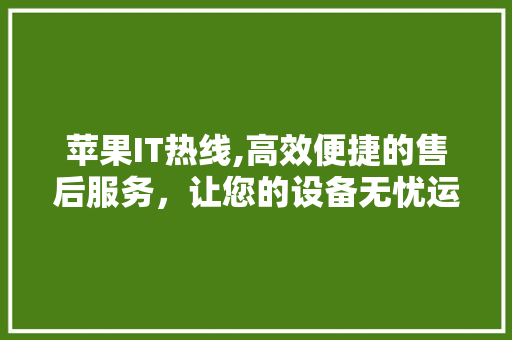 苹果IT热线,高效便捷的售后服务，让您的设备无忧运行