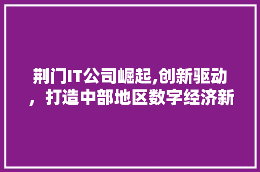 荆门IT公司崛起,创新驱动，打造中部地区数字经济新高地 必应SEO