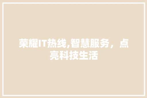 荣耀IT热线,智慧服务，点亮科技生活