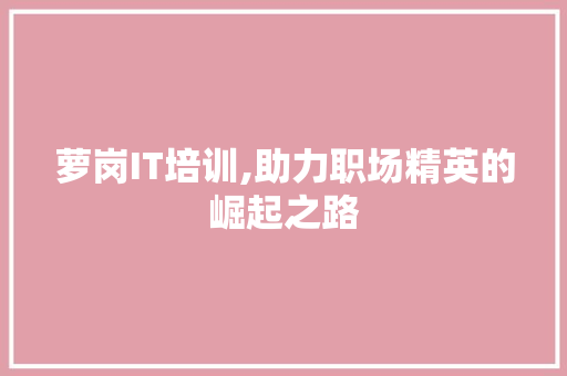 萝岗IT培训,助力职场精英的崛起之路