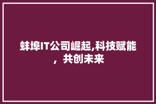 蚌埠IT公司崛起,科技赋能，共创未来