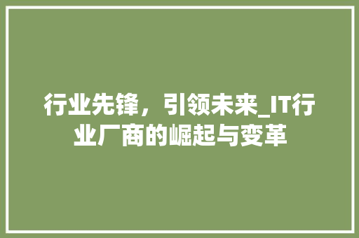 行业先锋，引领未来_IT行业厂商的崛起与变革 必应SEO