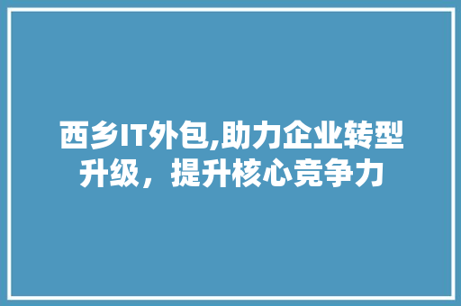 西乡IT外包,助力企业转型升级，提升核心竞争力