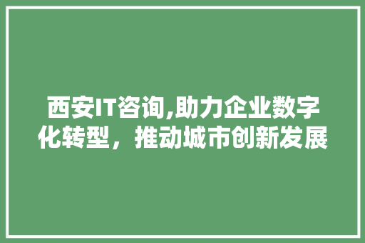 西安IT咨询,助力企业数字化转型，推动城市创新发展