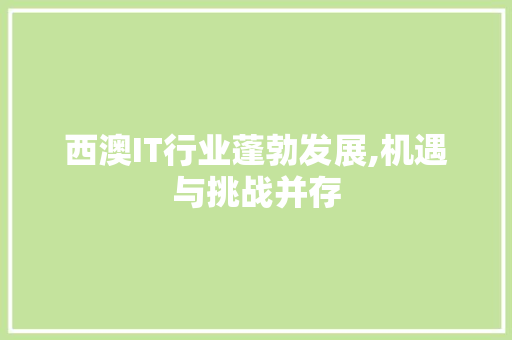 西澳IT行业蓬勃发展,机遇与挑战并存