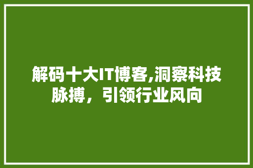 解码十大IT博客,洞察科技脉搏，引领行业风向