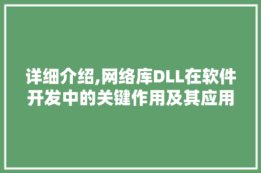 详细介绍,网络库DLL在软件开发中的关键作用及其应用