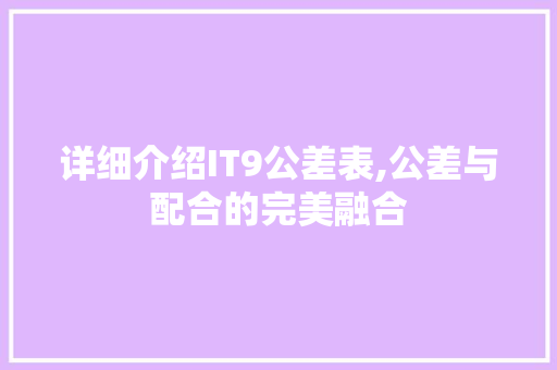 详细介绍IT9公差表,公差与配合的完美融合 神马SEO