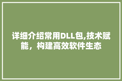 详细介绍常用DLL包,技术赋能，构建高效软件生态