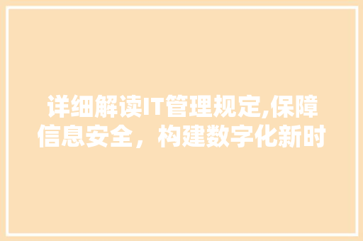 详细解读IT管理规定,保障信息安全，构建数字化新时代