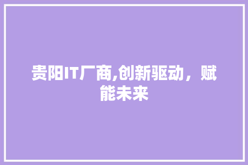 贵阳IT厂商,创新驱动，赋能未来
