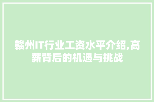 赣州IT行业工资水平介绍,高薪背后的机遇与挑战