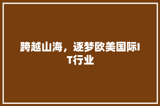 跨越山海，逐梦欧美国际IT行业