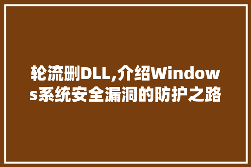 轮流删DLL,介绍Windows系统安全漏洞的防护之路 神马SEO