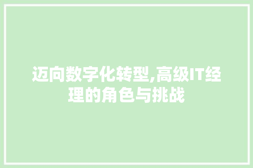 迈向数字化转型,高级IT经理的角色与挑战