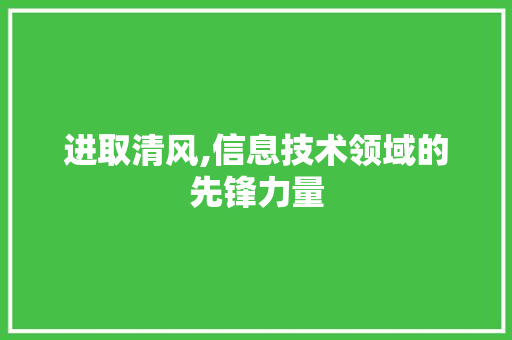进取清风,信息技术领域的先锋力量