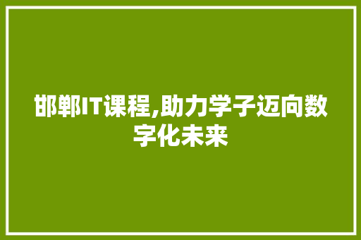 邯郸IT课程,助力学子迈向数字化未来 必应SEO