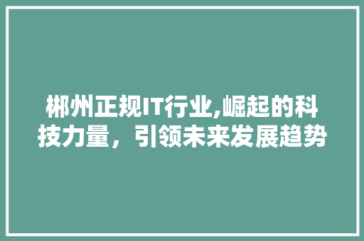 郴州正规IT行业,崛起的科技力量，引领未来发展趋势