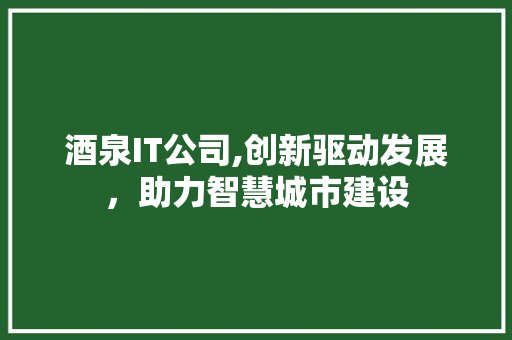 酒泉IT公司,创新驱动发展，助力智慧城市建设