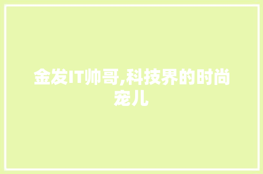 金发IT帅哥,科技界的时尚宠儿
